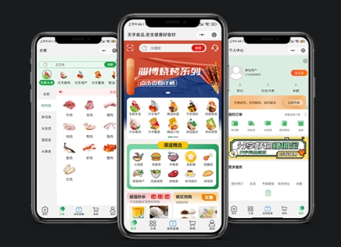 食品商城小程序開發(fā)